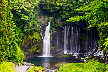 Shiraito Falls, Fuji-Hakone-Izu National Park, UNESCO World Heritage Site, Shizuoka Prefecture, Honshu, Japan, Asia