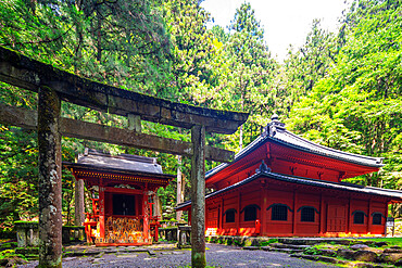 Rinnoji Kannondo (Kyoshado) Buddhist temple, Nikko, UNESCO World Heritage Site, Tochigi prefecture, Honshu, Japan, Asia