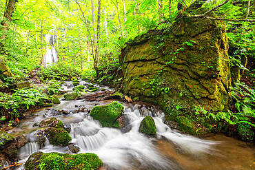 Waterfall at Oirase Gorge, Aomori prefecture, Tohoku, Honshu, Japan, Asia