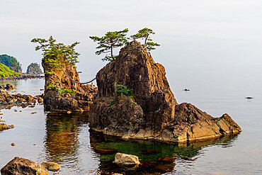 Coastal scenery, Kanazawa city, Ishikawa prefecture, Honshu, Japan, Asia