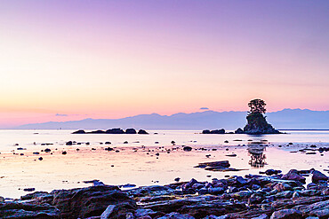 Pine tree on a rock outcrop in the Sea of Japan, Ameharakaigan, Toyama prefecture, Honshu, Japan, Asia