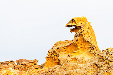 Godzilla Rock, Tohoku, Akita prefecture, Honshu, Japan, Asia