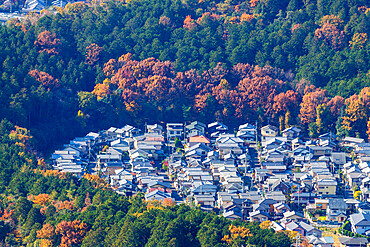 City view in autumn, Kyoto, Kansai, Japan, Asia