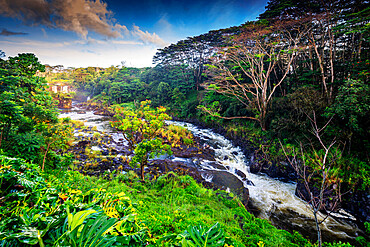 Hilo, Big Island, Hawaii, United States of America, North America