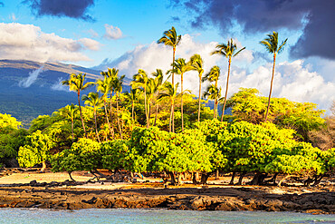 Mahai'ula Beach, Big Island, Hawaii, United States of America, North America