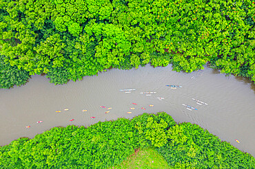 Drone view of kayakers on Wailua River, Kauai Island, Hawaii, United States of America, North America