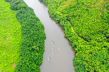 Drone view of kayakers on Wailua River, Kauai Island, Hawaii, United States of America, North America