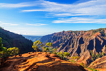 Waimea Canyon State Park, Kauai Island, Hawaii, United States of America, North America