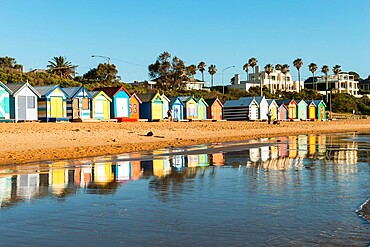 Bathing boxes (beach huts), Brighton, Port Phillip Bay, Victoria, Australia, Pacific