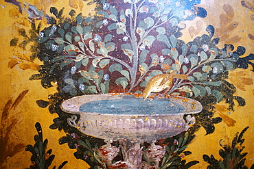 Drinking bird fresco detail in Poppea Sabina's private villa (Villa Oplontis), Oplontis, UNESCO World Heritage Site, Torre Annunziata, Campania, Italy, Europe