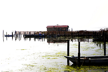 The Po delta, Emilia-Romagna, Italy, Europe