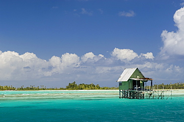 Tikehau, Tuamotu Archipelago, French Polynesia, Pacific Islands, Pacific