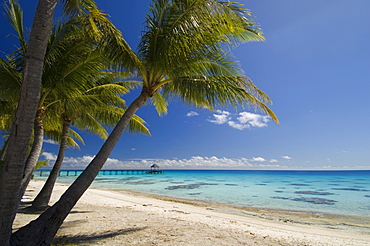 Fakarawa, Tuamotu Archipelago, French Polynesia, Pacific Islands, Pacific