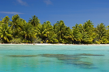 Fakarawa, Tuamotu Archipelago, French Polynesia, Pacific Islands, Pacific