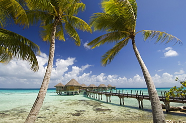 Pearl Beach Resort, Tikehau, Tuamotu Archipelago, French Polynesia, Pacific Islands, Pacific