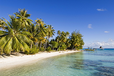 Fakarawa, Tuamotu Archipelago, French Polynesia, Pacific Islands, Pacific