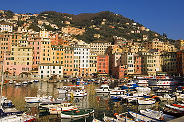 Camogli, Liguria, Italy, Mediterranean, Europe