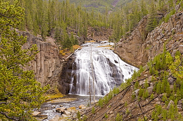 Gibbon Falls, Yellowstone National Park, UNESCO World Heritage Site, Wyoming, United States of America, North America