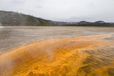 Grand Prismatic Spring in winter, Lower Geyser Basin, Yellowstone National Park, UNESCO World Heritage Site, Wyoming, United States of America, North America