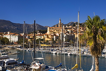 Menton, Alpes-Maritimes, Provence, Cote d'Azur, French Riviera, France, Mediterrranean, Europe