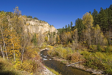 Spearfish Canyon, Black Hills, South Dakota, United States of America, North America