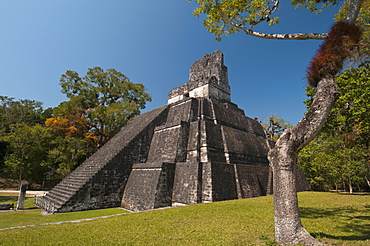 Temple II, Mayan archaeological site, Tikal, UNESCO World Heritage Site, Guatemala, Central America