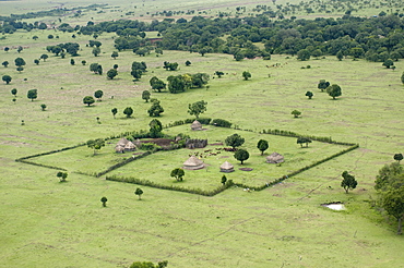 Masai houses, Masai Mara, Kenya, East Africa, Africa