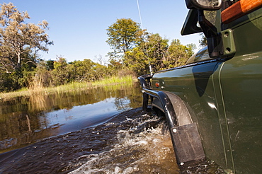 Abu Camp, Okavango Delta, Botswana, Africa