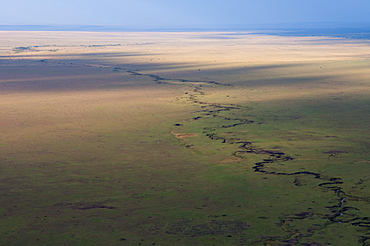 Aerial view, Masai Mara, Kenya, East Africa, Africa