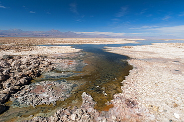 Laguna Chaxa, Salar de Atacama, Atacama Desert, Chile, South America