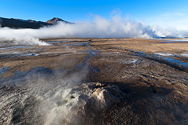 El Tatio Geysers, Atacama Desert, Chile, South America