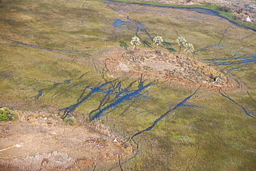 Aerial view of Okavango delta, Botswana, Africa