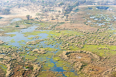 Aerial view of Okavango delta, Botswana, Africa