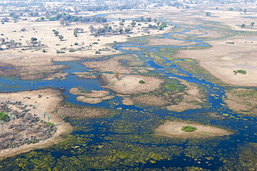 Aerial view of Okavango delta, Botswana, Africa