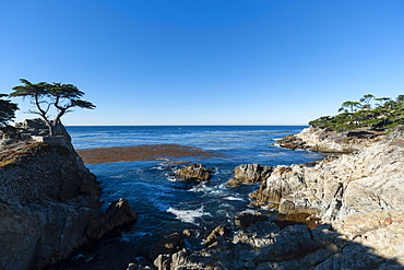 Pebble beach, 17 Miles Drive, Carmel, California, United States of America, North America