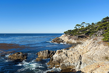 Pebble beach, 17 Miles Drive, Carmel, California, United States of America, North America