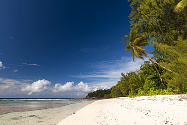 Anse Severe beach, La Digue, Seychelles, Indian Ocean, Africa