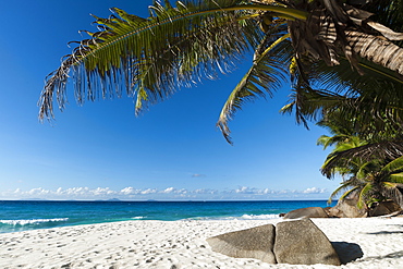 Anse Victorin, Fregate Island, Seychelles, Indian Ocean, Africa