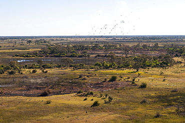 Aerial view of Okavango Delta, Botswana, Africa 