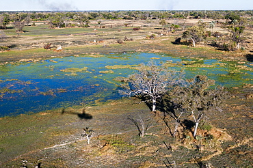 Aerial view of Okavango Delta, Botswana, Africa 