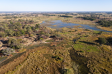 Aerial view of Okavango Delta, Botswana, Africa 