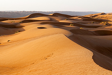 Wahiba Sands desert, Oman, Middle East