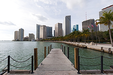 Downtown Miami buildings, Miami, Florida, United States of America, North America