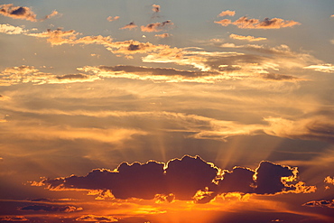 Sunset over Kalahari, Botswana, Africa