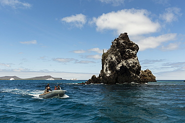 Floreana Island, Galapagos Islands, UNESCO World Heritage Site, Ecuador, South America