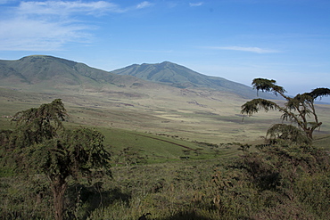 Ngorongoro Crater, UNESCO World Heritage Site, Ngorongoro Conservation Area, Serengeti, Tanzania, East Africa, Africa