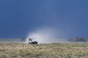 A safari vehicle driving in Ndutu, Ngorongoro Conservation Area, Serengeti, Tanzania, East Africa, Africa