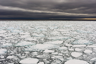 A view of the melting sea ice on the Arctic Ocean at 81 degrees, north of the Svalbard islands, Arctic, Norway, Europe