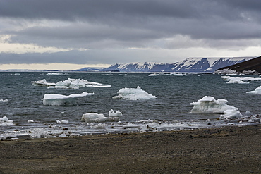 Edgeoya island, Svalbard islands, Arctic, Norway, Europe