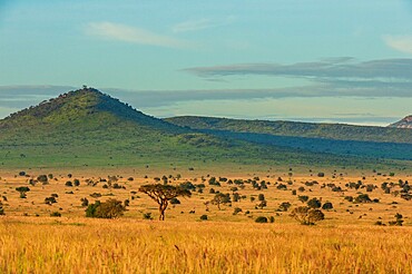 View of Lualenyi, Tsavo Conservation Area, Kenya, East Africa, Africa